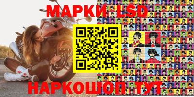индика Железноводск