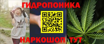 стаф Ефремов