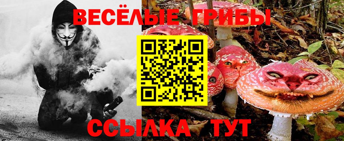 Вязники  Псилоцибиновые грибы MAGIC MUSHROOMS  Вход с VPN 